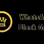WhatsApp-Black-Gold-APK