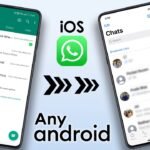 maxresdefault – 2024-07-01T125025.561