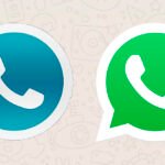 6142354d52e45157d9774c4d